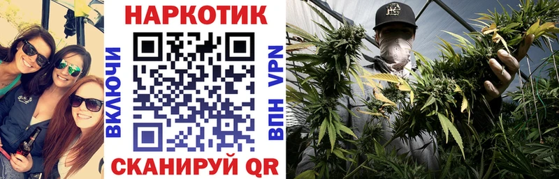 Где можно купить наркотики Шиханы Бошки Шишки Альфа ПВП АМФЕТАМИН Кокаин ГАШ