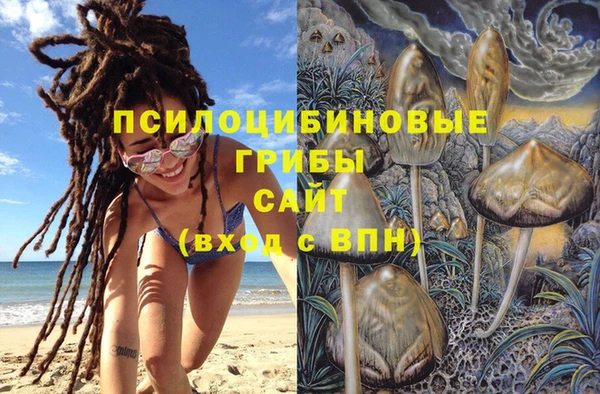 прущие грибы Лиски