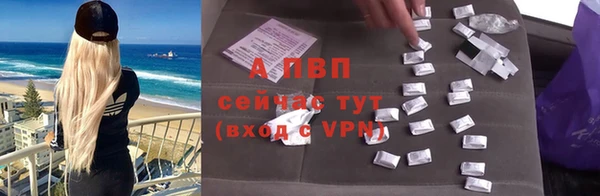 прущие грибы Липки