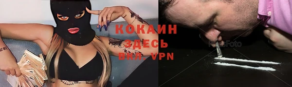 прущие грибы Липки
