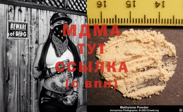 прущие грибы Лиски
