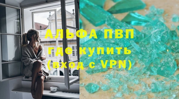 прущие грибы Липки