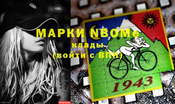 прущие грибы Липки