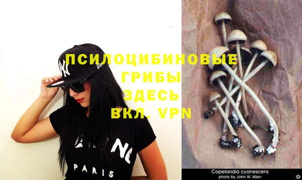 гидропоника Лихославль