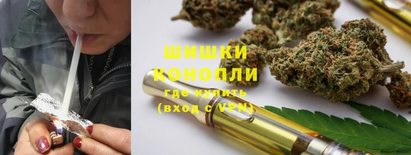 прущие грибы Лиски
